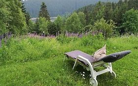 Harz-See-Lodge